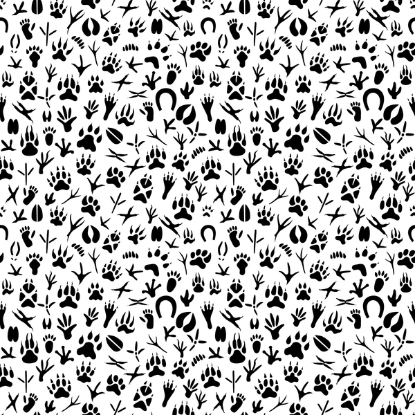 seamless pattern footprint animals 
