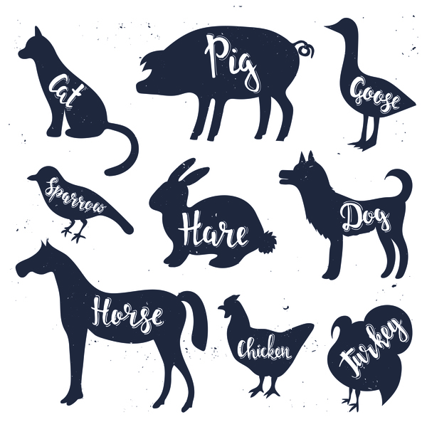 silhouette name animals 