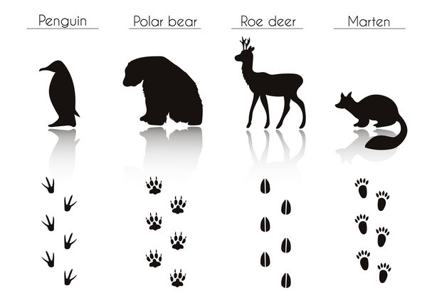 silhouette footprint animals 