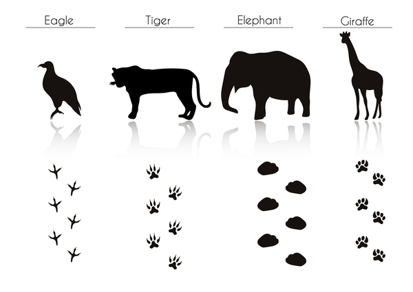 silhouette footprint animals 
