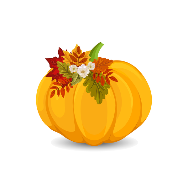 pumpkin flower autumn 