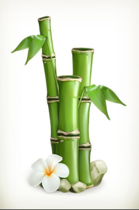 white flower bamboo 