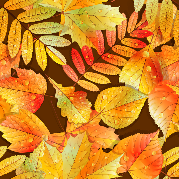 water seamless pattern leaves drop beautiful autumn 