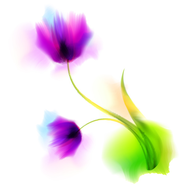 flower blurs 