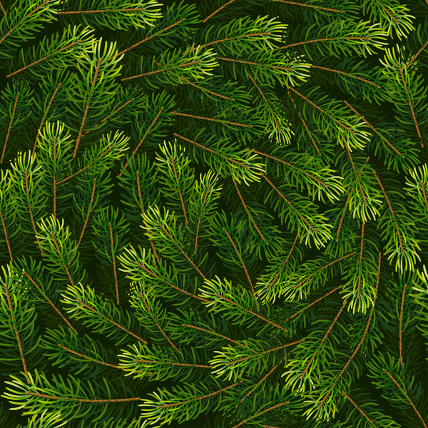 seamless pattern fir christmas branches 