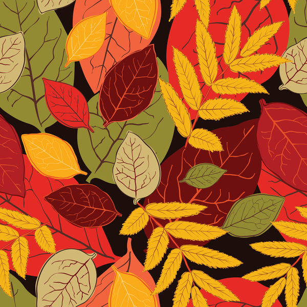 seamless pattern leaves colored autumn 