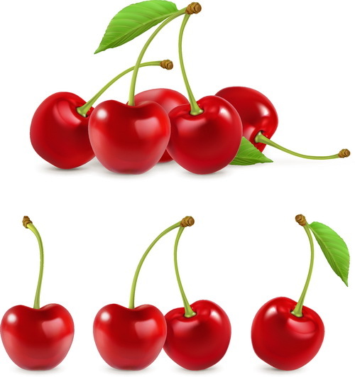realistic fresh cherry 