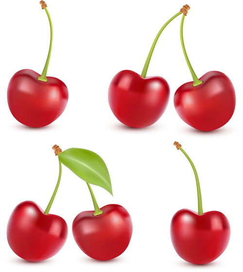 realistic fresh cherry 