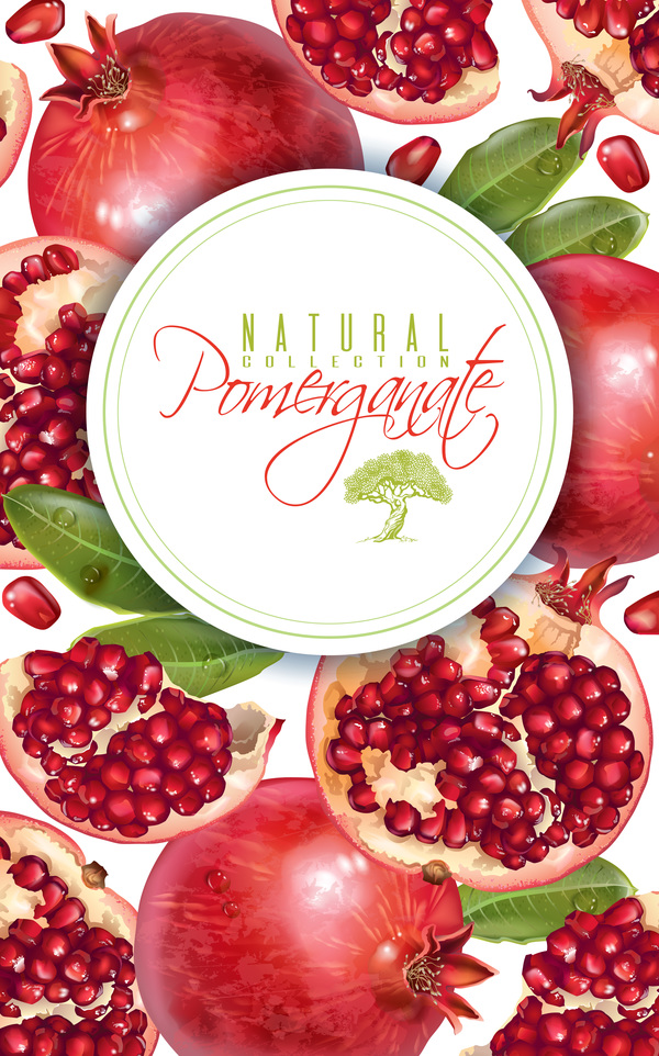 Fresh pomegranate background design vectors 02 - WeLoveSoLo