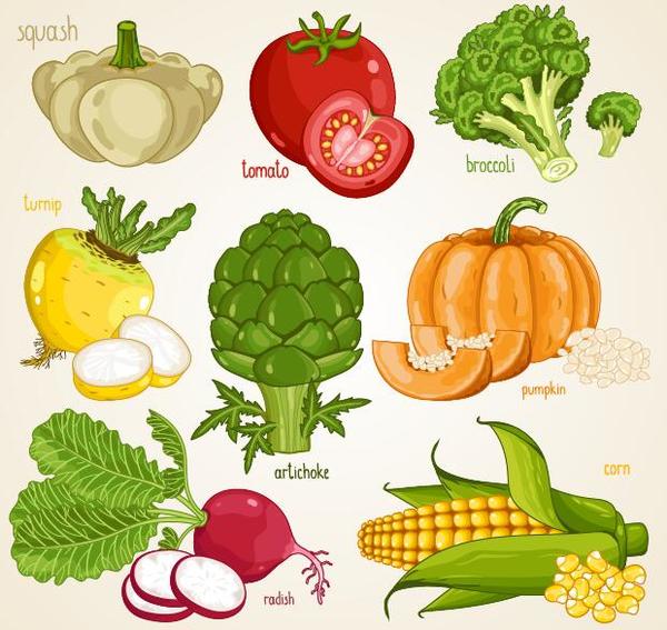 Download Fresh vegetables with name vector illustration 04 - WeLoveSoLo