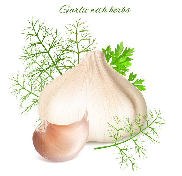 hervs garlic 