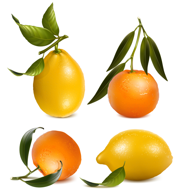 lemon citrus 