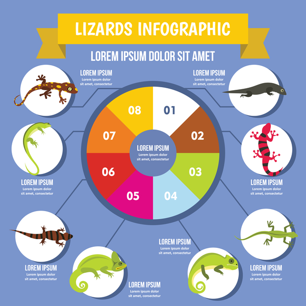 Lizards infographic 