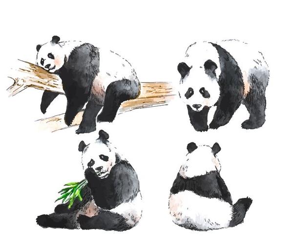 watercolor panda 