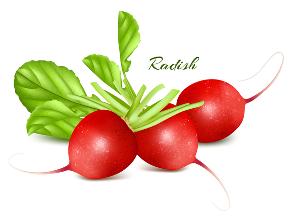 radish 
