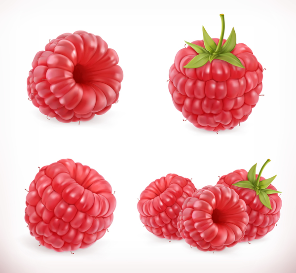 sweet raspberry fruit 