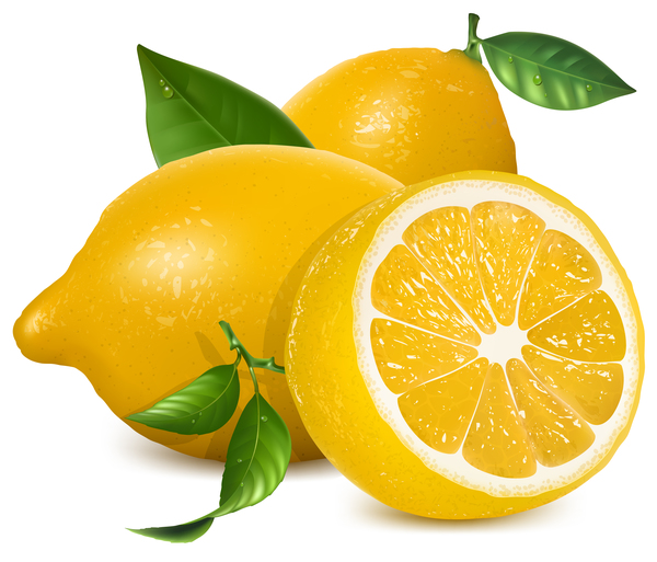 realistic lemon 