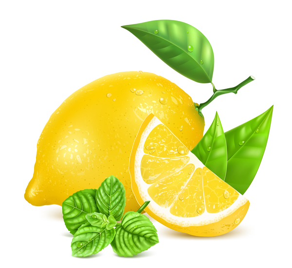 realistic lemon 