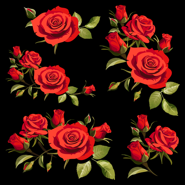 Red rose  with black  background  vectors WeLoveSoLo