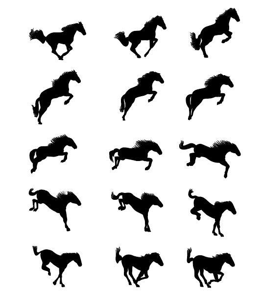silhouette horse 