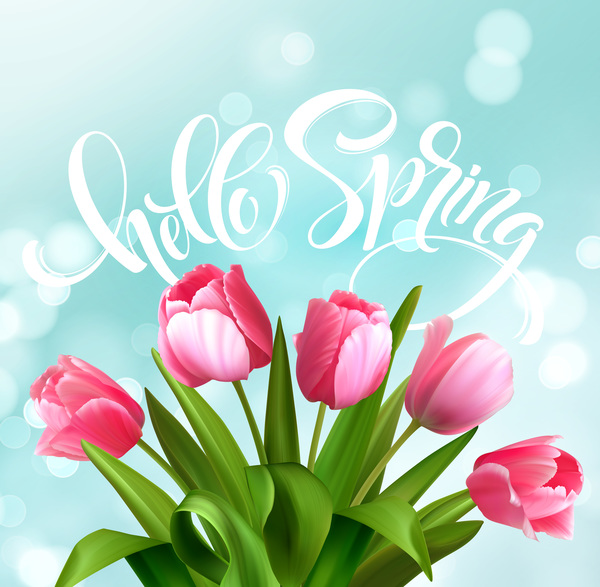 tulips spring halation 
