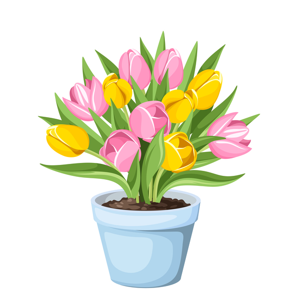 tulips pot 