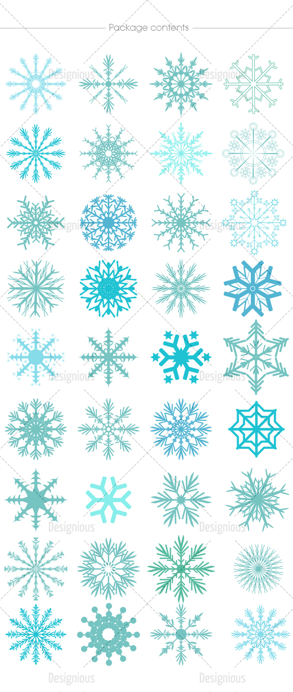 winter snowflake 