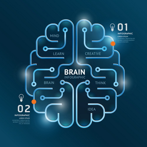 lines infographic brain 