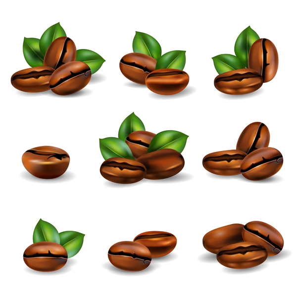 realistic coffee beans 