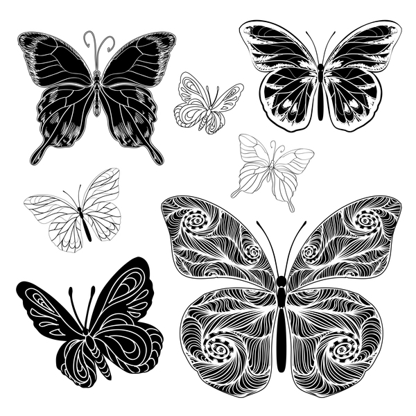 silhouettes drawings butterflies 