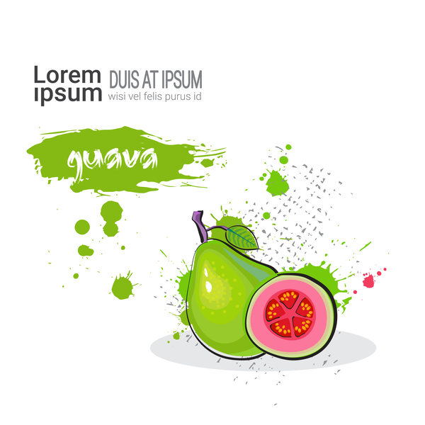 watercolor guava 
