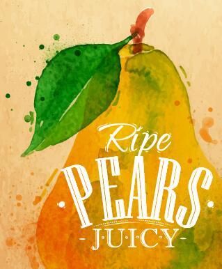 watercolor Ripe pears 