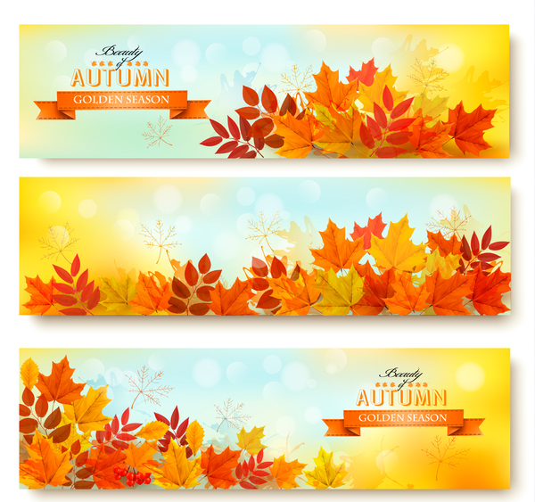 Three nature leaves banners autumn 