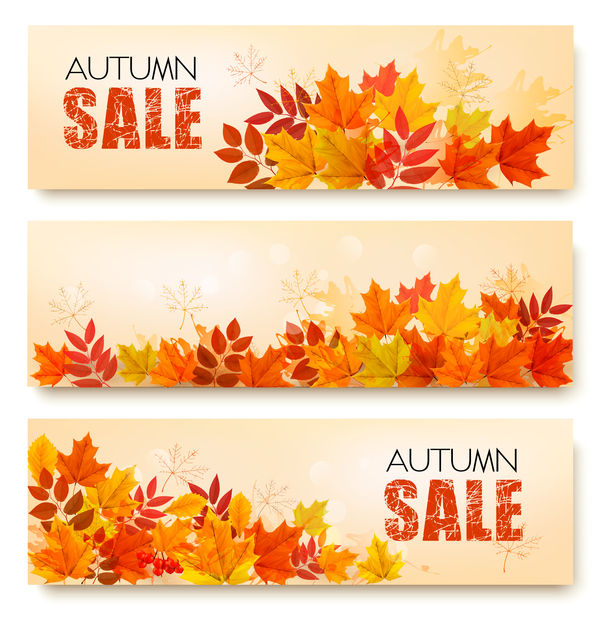 Three sale nature leaves banners autumn 
