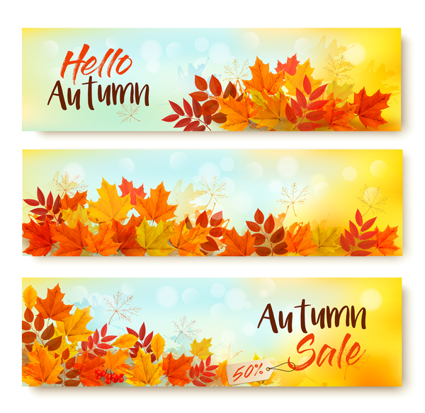 Three sale leaves banners autumn 