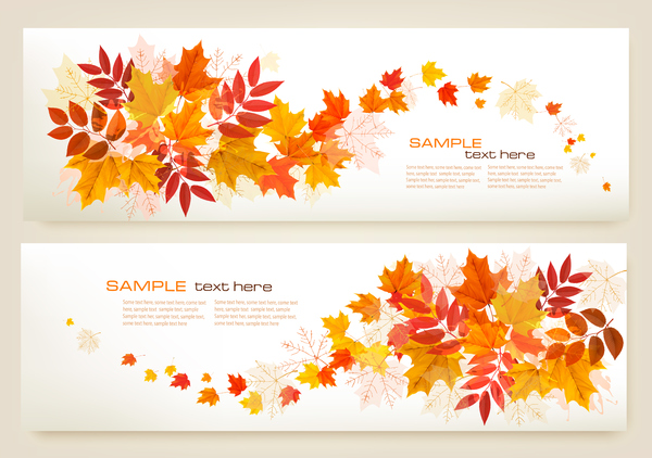 two leaves colorful banners autumn 
