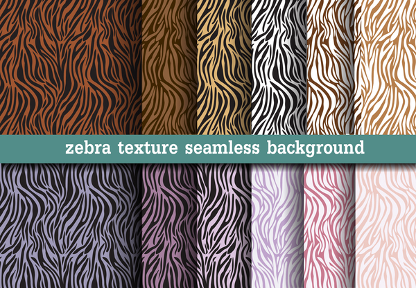 zebra texture sans soudure le comportement animal 