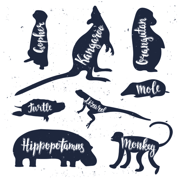 Tiere silhouette Namen 