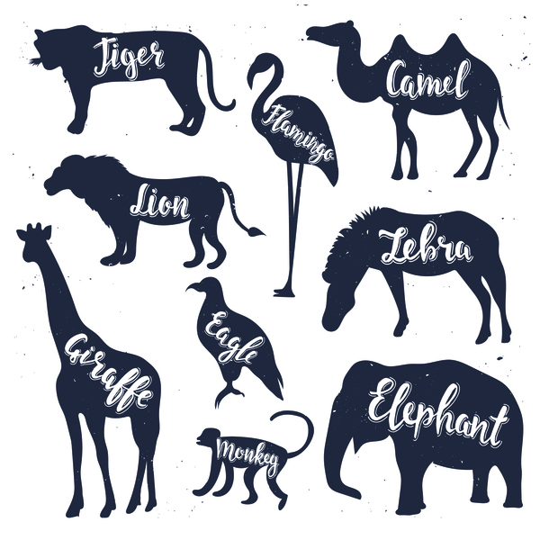 silhouette nom animaux 