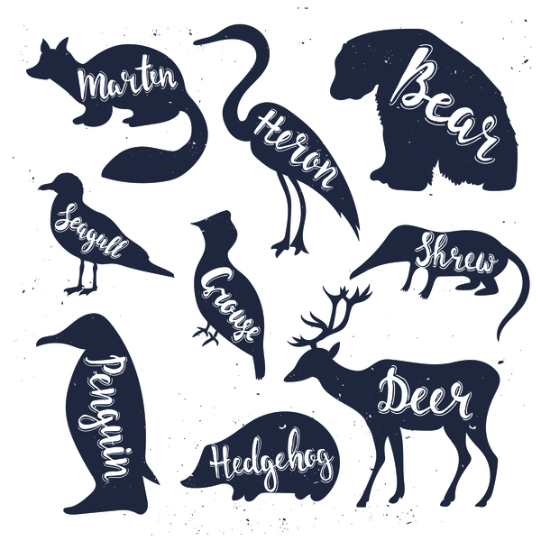 silhouette nom animaux 