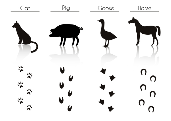 Tiere silhouette Fußabdruck 