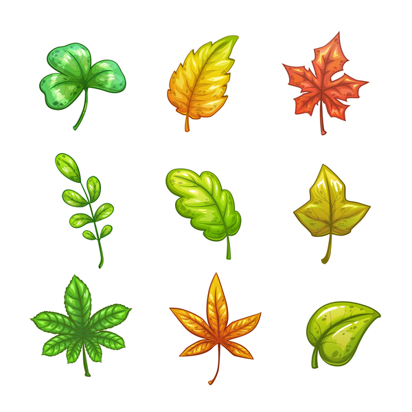 foglie di autunno 