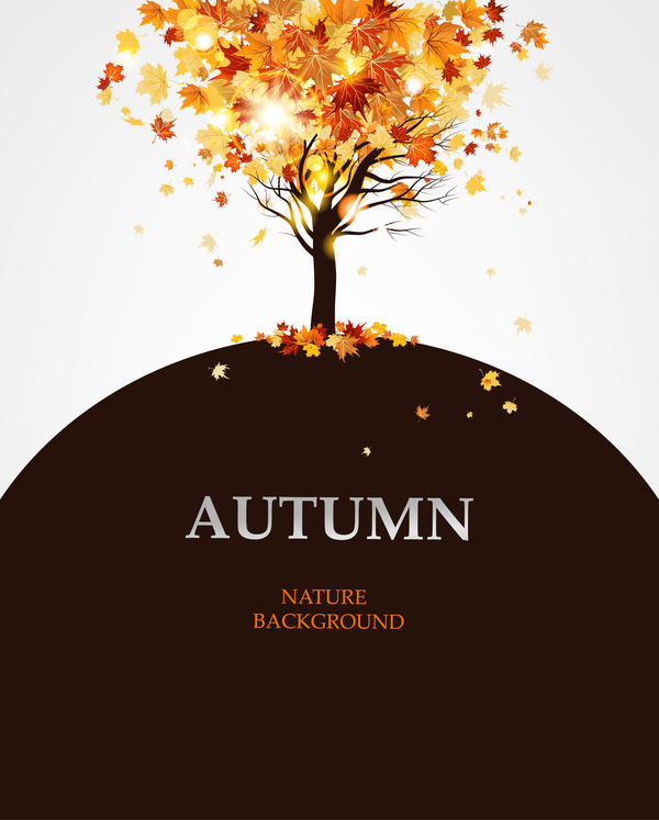 、茶色、秋の木 