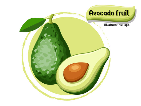 Obst avocado 