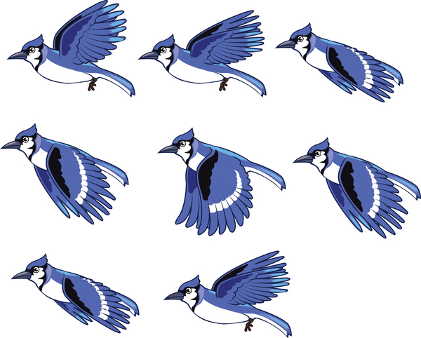 uccelli blu 