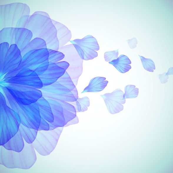 kronblad Blomma blå 