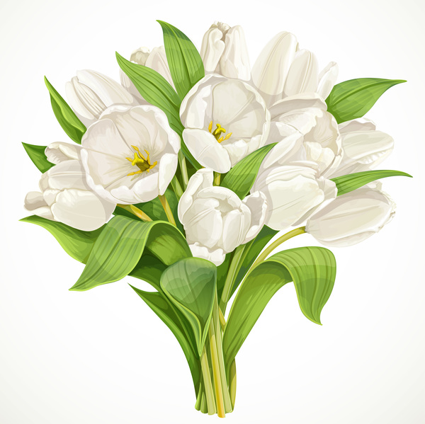 tulipes blanc bouquet 