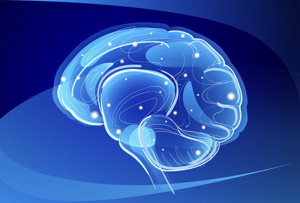 nervceller hjärnan blå 
