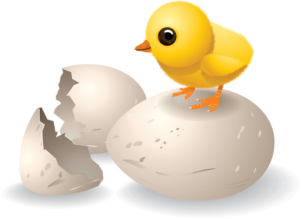 鶏の卵 、壊れて、漫画 