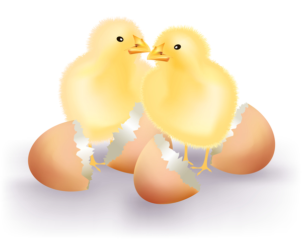Hühner Gebrochen Eier cartoon 